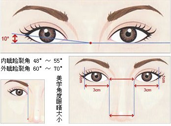 双眼皮手术前的设计标准