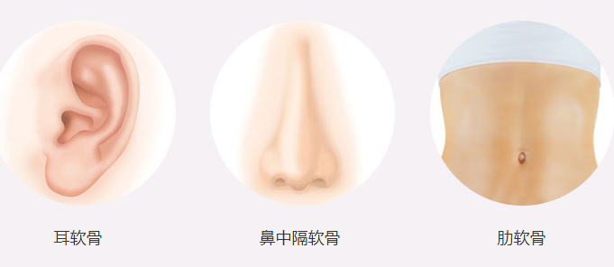 清潭first李丙玟院长揭秘鼻部修复使用肋软骨更靠谱的原因