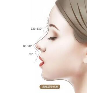 鼻综合要多久才能恢复？鼻部美学标准