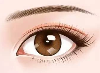 双眼皮术后上眼睑外翻能恢复吗？