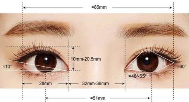 双眼皮过宽是容易导致提肌无力的一个原因，宽度控制在6-8mm比较合适
